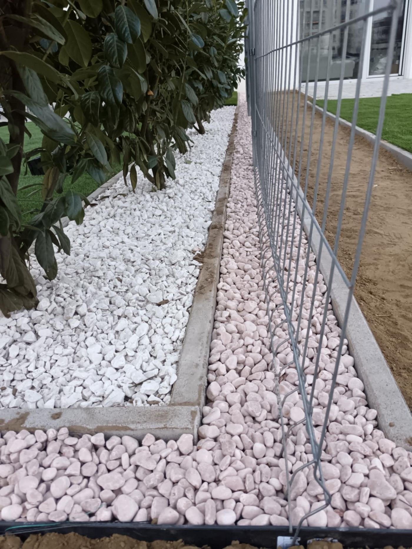 Kavicságyás babérsövénnyel és szegélykővel